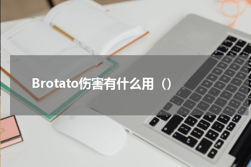 Brotato伤害有什么用（）