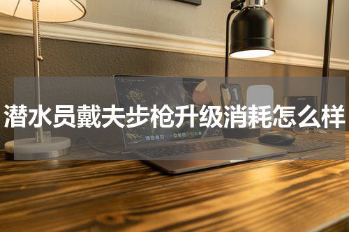 潜水员戴夫步枪升级消耗怎么样