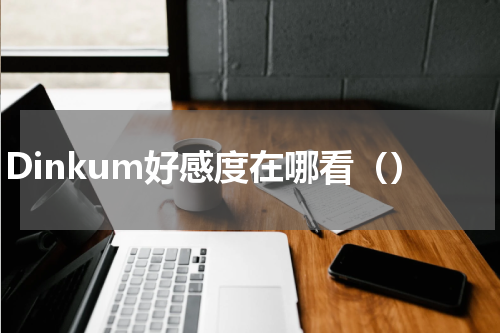 Dinkum好感度在哪看（）