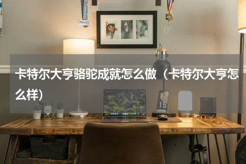 卡特尔大亨骆驼成就怎么做（卡特尔大亨怎么样）