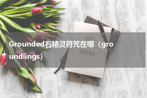 Grounded右精灵符咒在哪(groundlings)