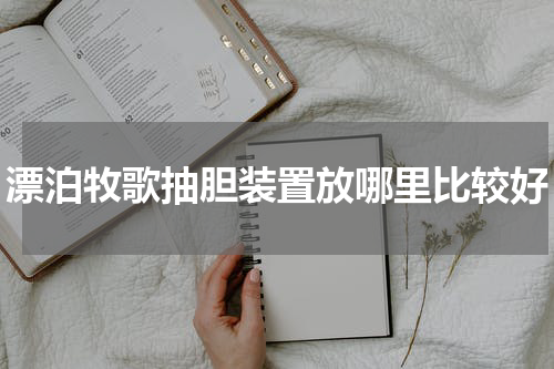 漂泊牧歌抽胆装置放哪里比较好