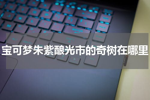 宝可梦朱紫酿光市的奇树在哪里