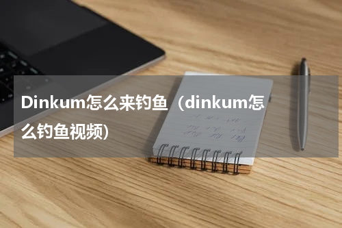 Dinkum怎么来钓鱼（dinkum怎么钓鱼视频）