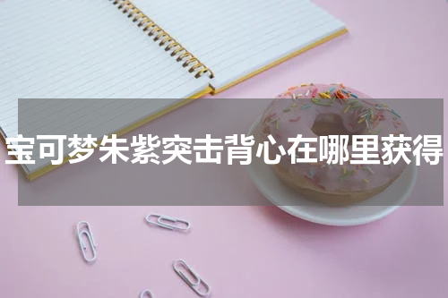 宝可梦朱紫突击背心在哪里获得