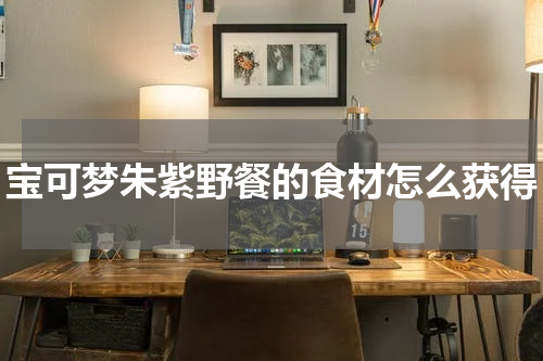 宝可梦朱紫野餐的食材怎么获得