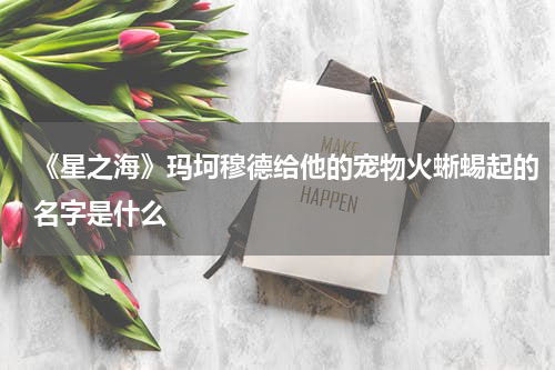 《星之海》玛坷穆德给他的宠物火蜥蜴起的名字是什么