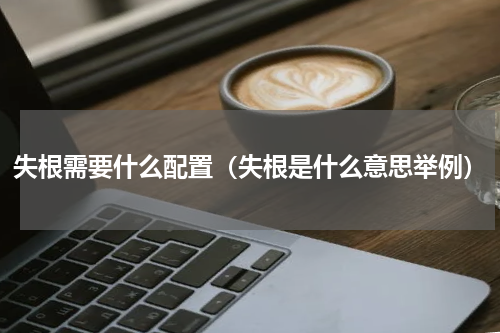 失根需要什么配置（失根是什么意思举例）