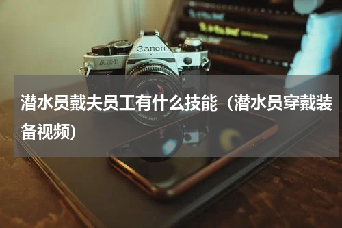 潜水员戴夫员工有什么技能（潜水员穿戴装备视频）