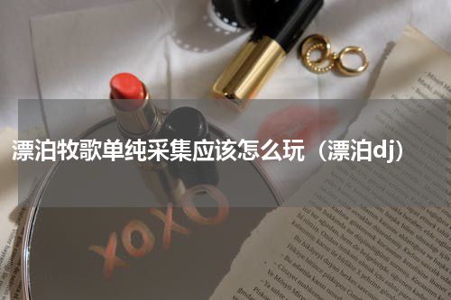 漂泊牧歌单纯采集应该怎么玩（漂泊dj）