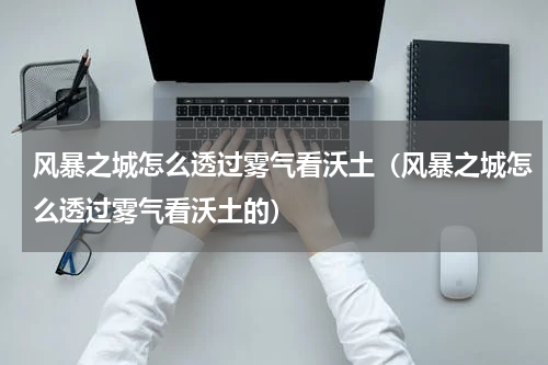 风暴之城怎么透过雾气看沃土（风暴之城怎么透过雾气看沃土的）
