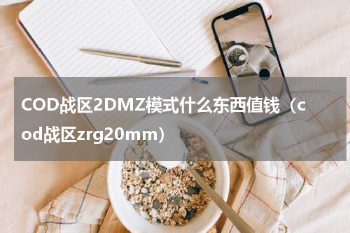 COD战区2DMZ模式什么东西值钱（cod战区zrg20mm）