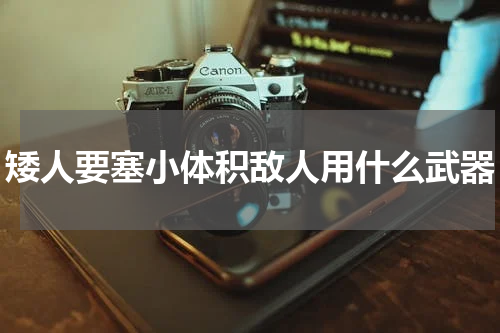 矮人要塞小体积敌人用什么武器