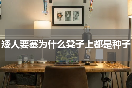 矮人要塞为什么凳子上都是种子