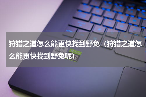 狩猎之道怎么能更快找到野兔（狩猎之道怎么能更快找到野兔呢）