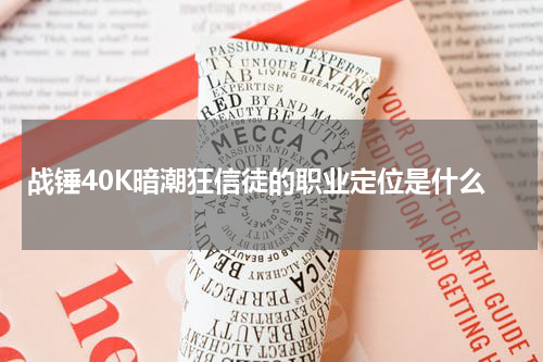 战锤40K暗潮狂信徒的职业定位是什么