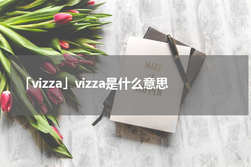 「vizza」vizza是什么意思