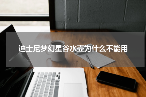 迪士尼梦幻星谷水壶为什么不能用