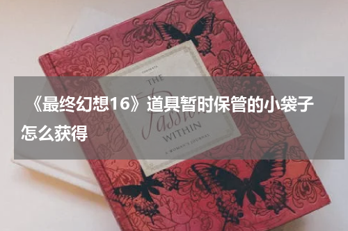  《最终幻想16》道具暂时保管的小袋子怎么获得