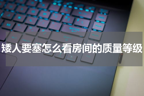 矮人要塞怎么看房间的质量等级