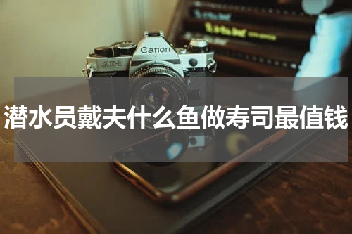 潜水员戴夫什么鱼做寿司最值钱