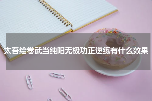 太吾绘卷武当纯阳无极功正逆练有什么效果