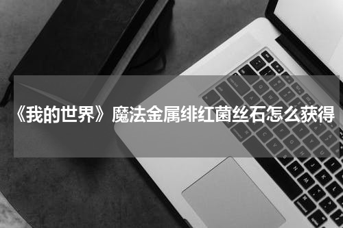 《我的世界》魔法金属绯红菌丝石怎么获得