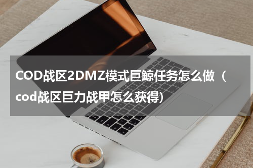 COD战区2DMZ模式巨鲸任务怎么做（cod战区巨力战甲怎么获得）