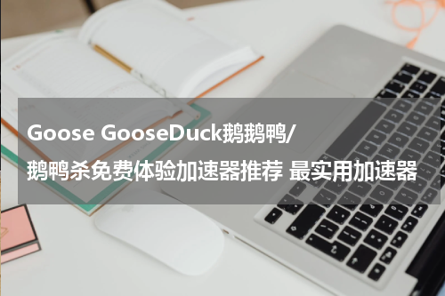 Goose GooseDuck鹅鹅鸭/鹅鸭杀免费体验加速器推荐 最实用加速器