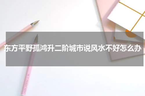 东方平野孤鸿升二阶城市说风水不好怎么办