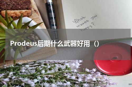 Prodeus后期什么武器好用（）