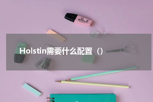 Holstin需要什么配置（）