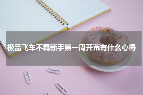 极品飞车不羁新手第一周开荒有什么心得