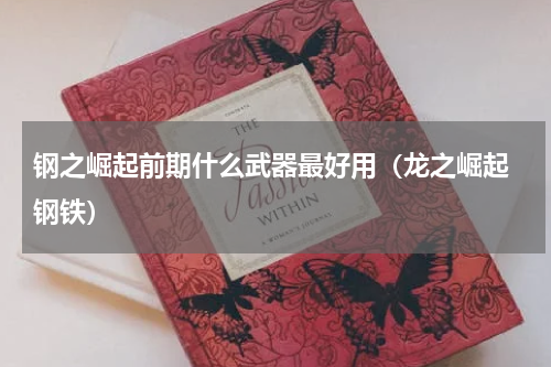 钢之崛起前期什么武器最好用（龙之崛起 钢铁）