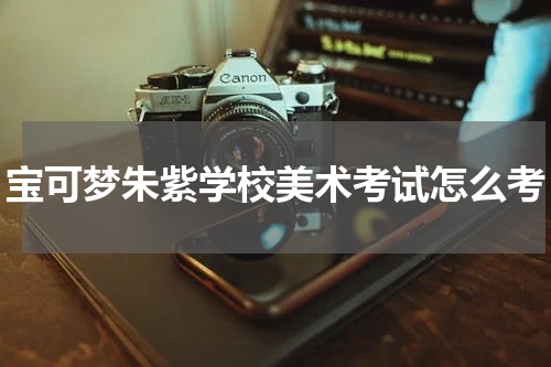 宝可梦朱紫学校美术考试怎么考