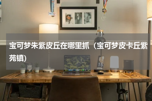 宝可梦朱紫皮丘在哪里抓(宝可梦皮卡丘紫苑镇)