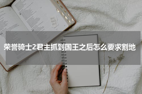 荣誉骑士2君主抓到国王之后怎么要求割地