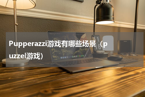Pupperazzi游戏有哪些场景（puzzel游戏）
