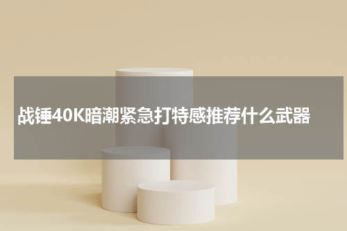 战锤40K暗潮紧急打特感推荐什么武器
