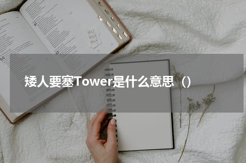 矮人要塞Tower是什么意思（）