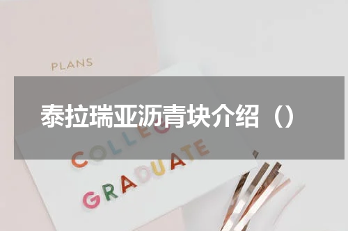 泰拉瑞亚沥青块介绍（）