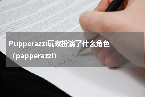 Pupperazzi玩家扮演了什么角色（papperazzi）