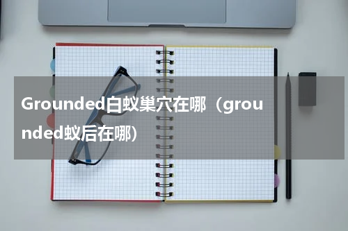 Grounded白蚁巢穴在哪(grounded蚁后在哪)
