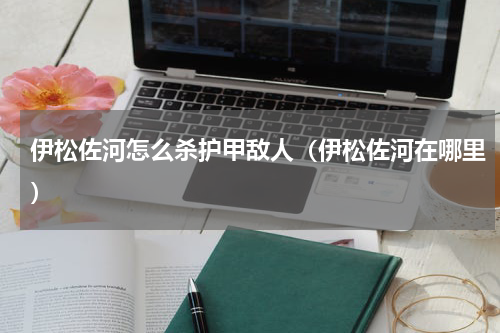 伊松佐河怎么杀护甲敌人（伊松佐河在哪里）