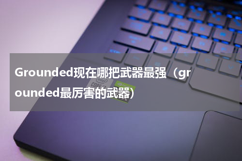 Grounded现在哪把武器最强（grounded最厉害的武器）