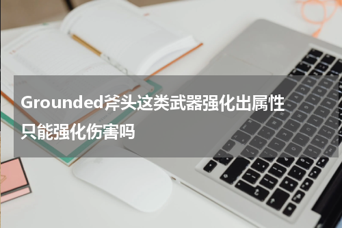 Grounded斧头这类武器强化出属性只能强化伤害吗