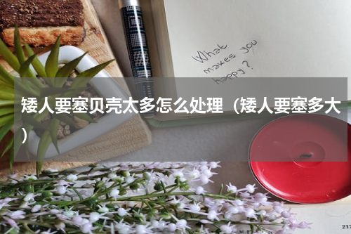 矮人要塞贝壳太多怎么处理（矮人要塞多大）