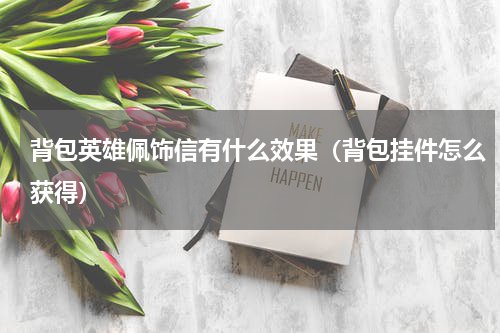 背包英雄佩饰信有什么效果（背包挂件怎么获得）