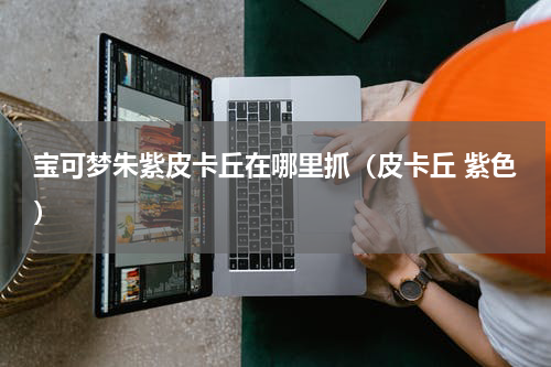 宝可梦朱紫皮卡丘在哪里抓(皮卡丘 紫色)