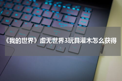 《我的世界》虚无世界3玩具灌木怎么获得